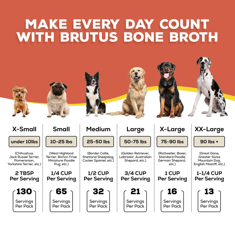 Brutus Broth chien-mangeant : solution appétissante pour chiens difficiles.