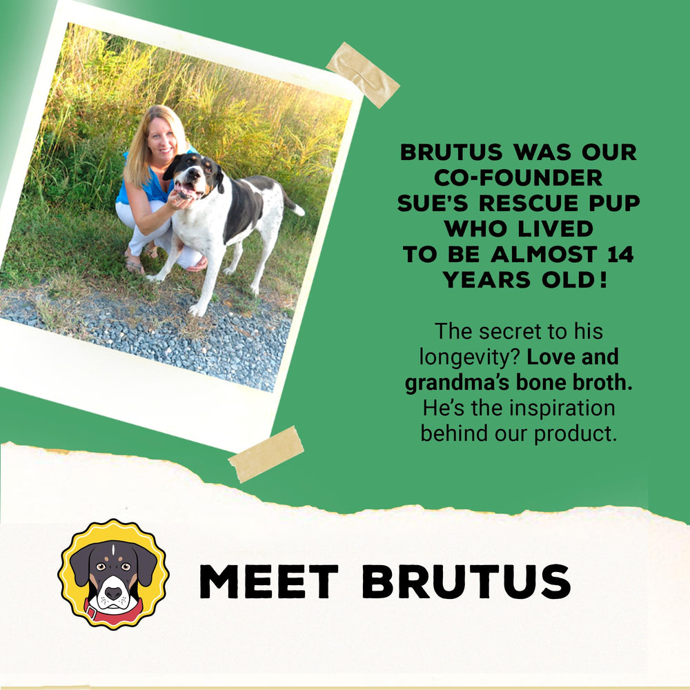 Brutus Broth digestion-quotidienne: pratique pour l'alimentation quotidienne des chiens.