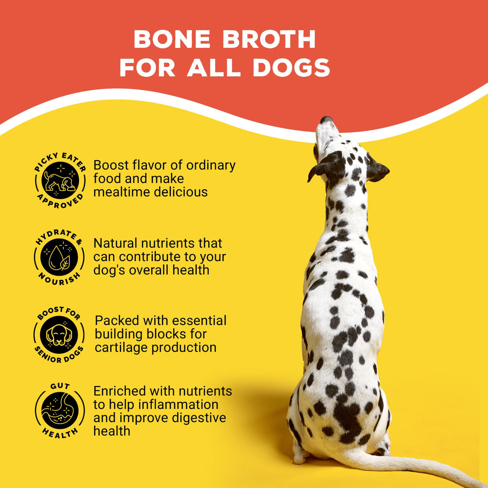 Brutus Broth probiotiques : probiotiques micro-encapsulés pour santé digestive.