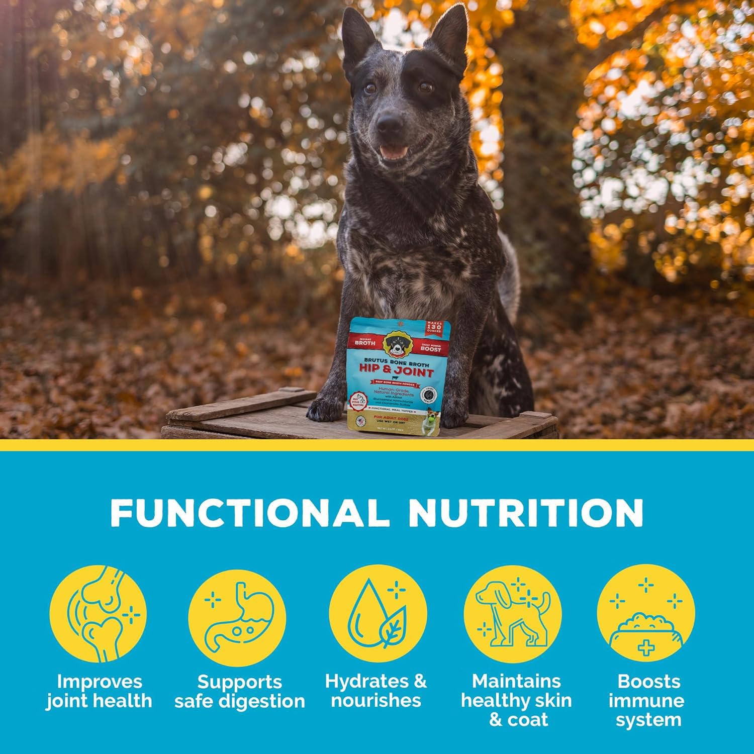 Brutus Broth sans-frigo-chien : conserve facilement sans réfrigération lors des voyages.
