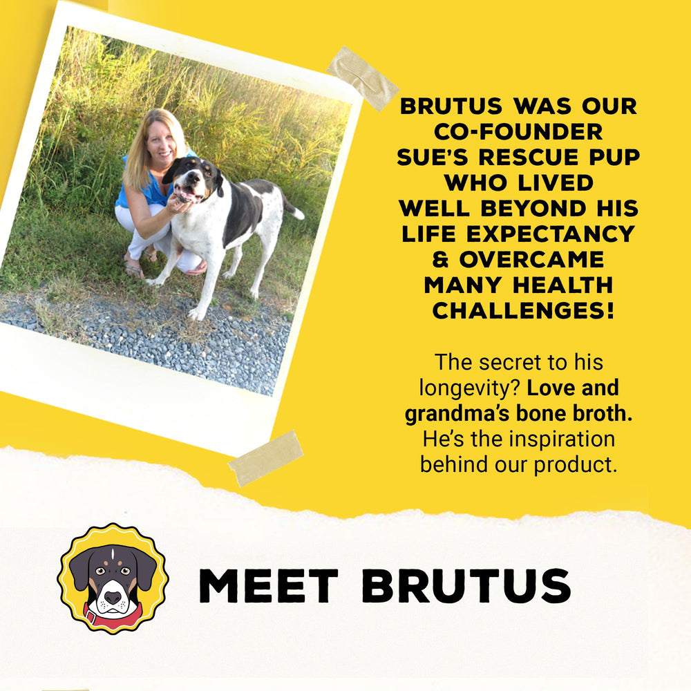 Brutus Brothcicles: sans sucre ajouté et sans additifs artificiels.