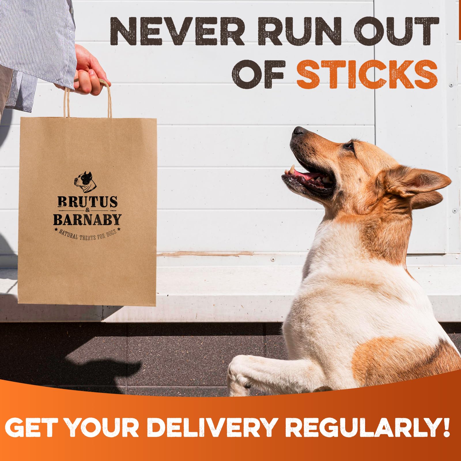 BRUTUS & BARNABY baton-bully entretien dentaire: texture abrasive possible pour dents.