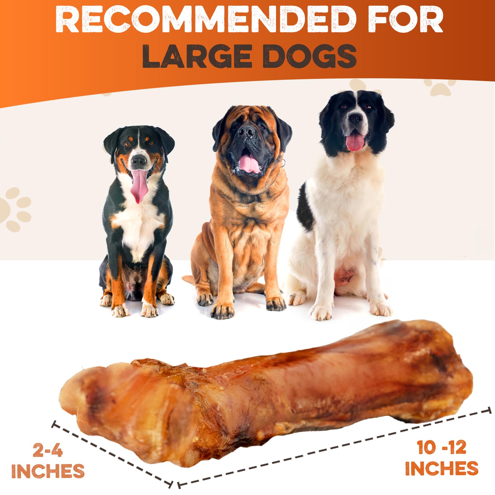 BRUTUS ET BARNABY – os jarret boeuf durable pour grands chiens
