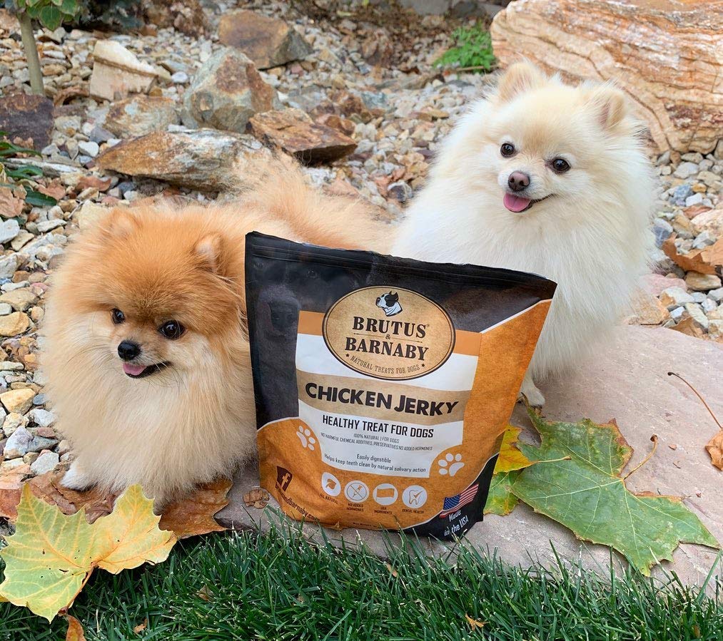 BRUTUS ET BARNABY sans-additifs poulet seche – viande pure et naturelle