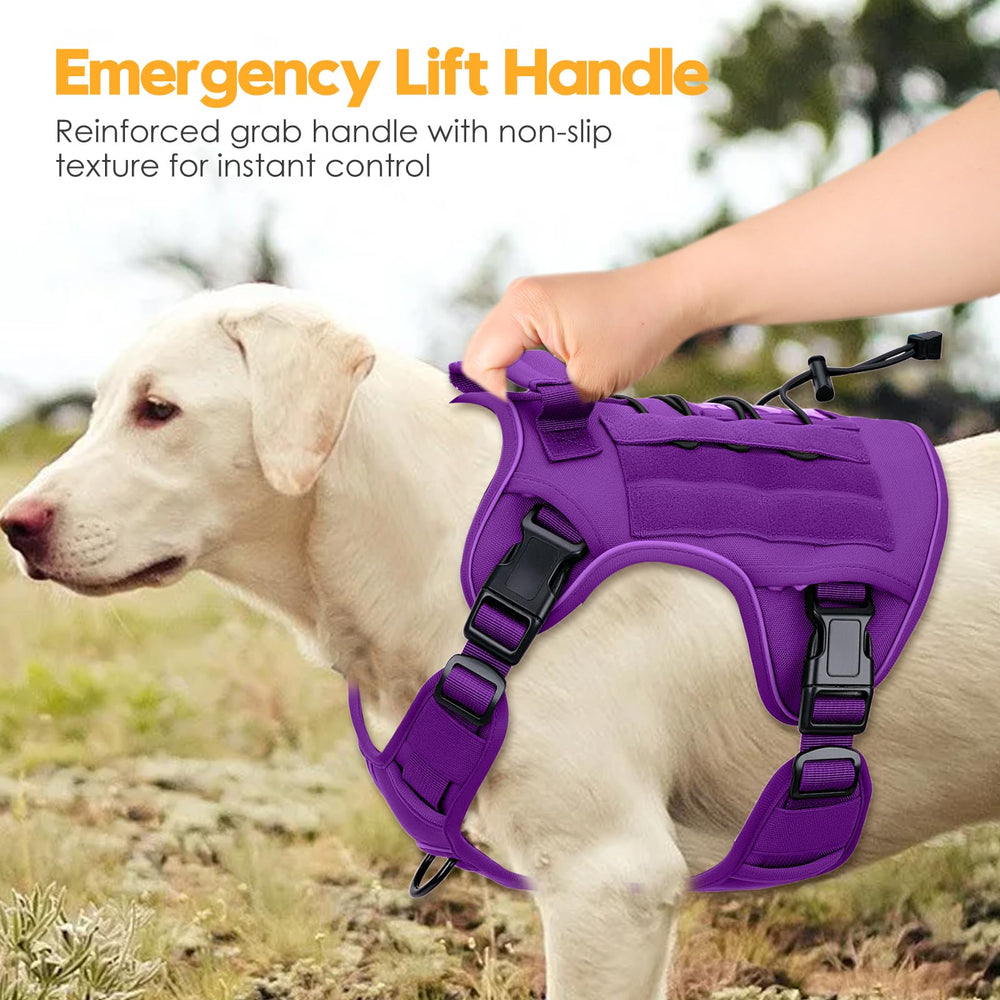 Grande taille violet profond Bruvoalon pour les grandes races et chiens forts.