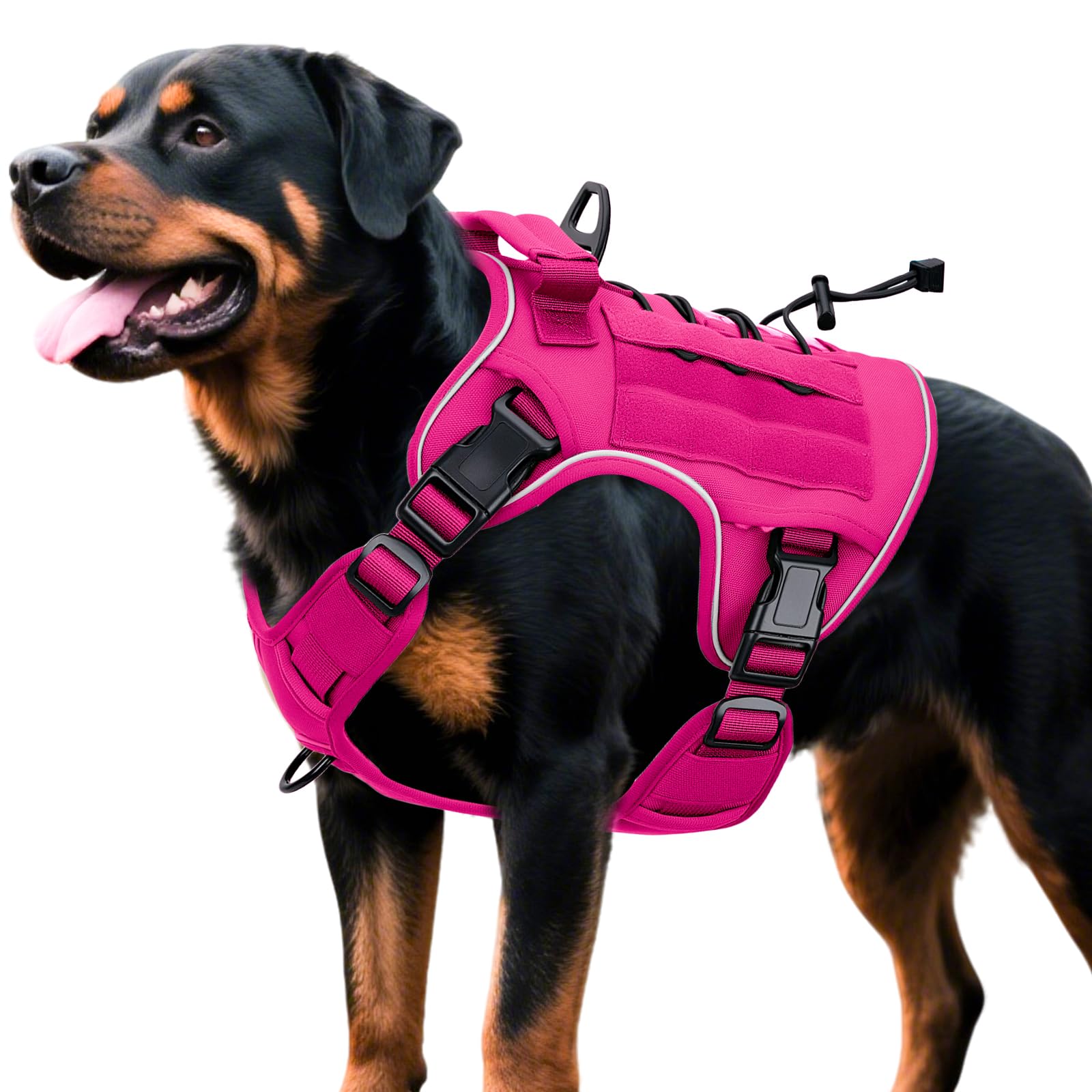 Bruvoalon harnais tactique chien grand, traction réduite et confort durable.
