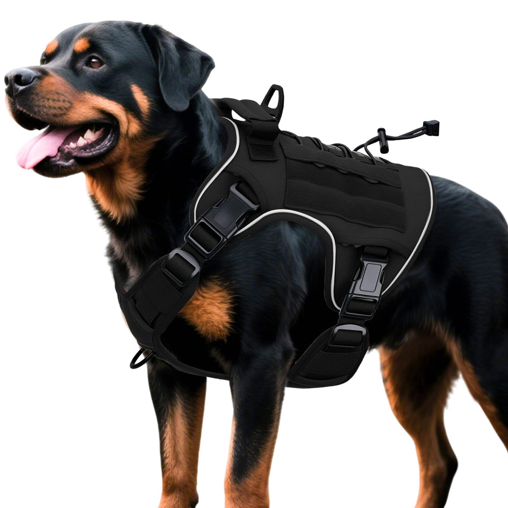 Harnais Bruvoalon pour gros chien, vue avant, confort durable pour promenades actives.
