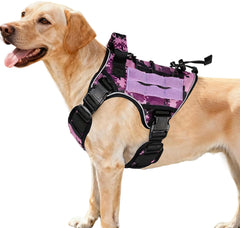 Harnais tactique Bruvoalon pour chien puissant avec système MOLLE et durabilité