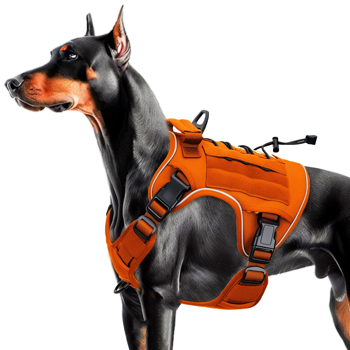 Harnais Bruvoalon tactique pour grands chiens orange, confort et durabilité