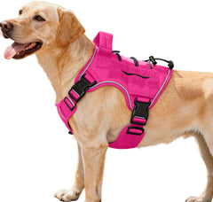 Bruvoalon harnais tactique robuste pour chiens actifs en extérieur.