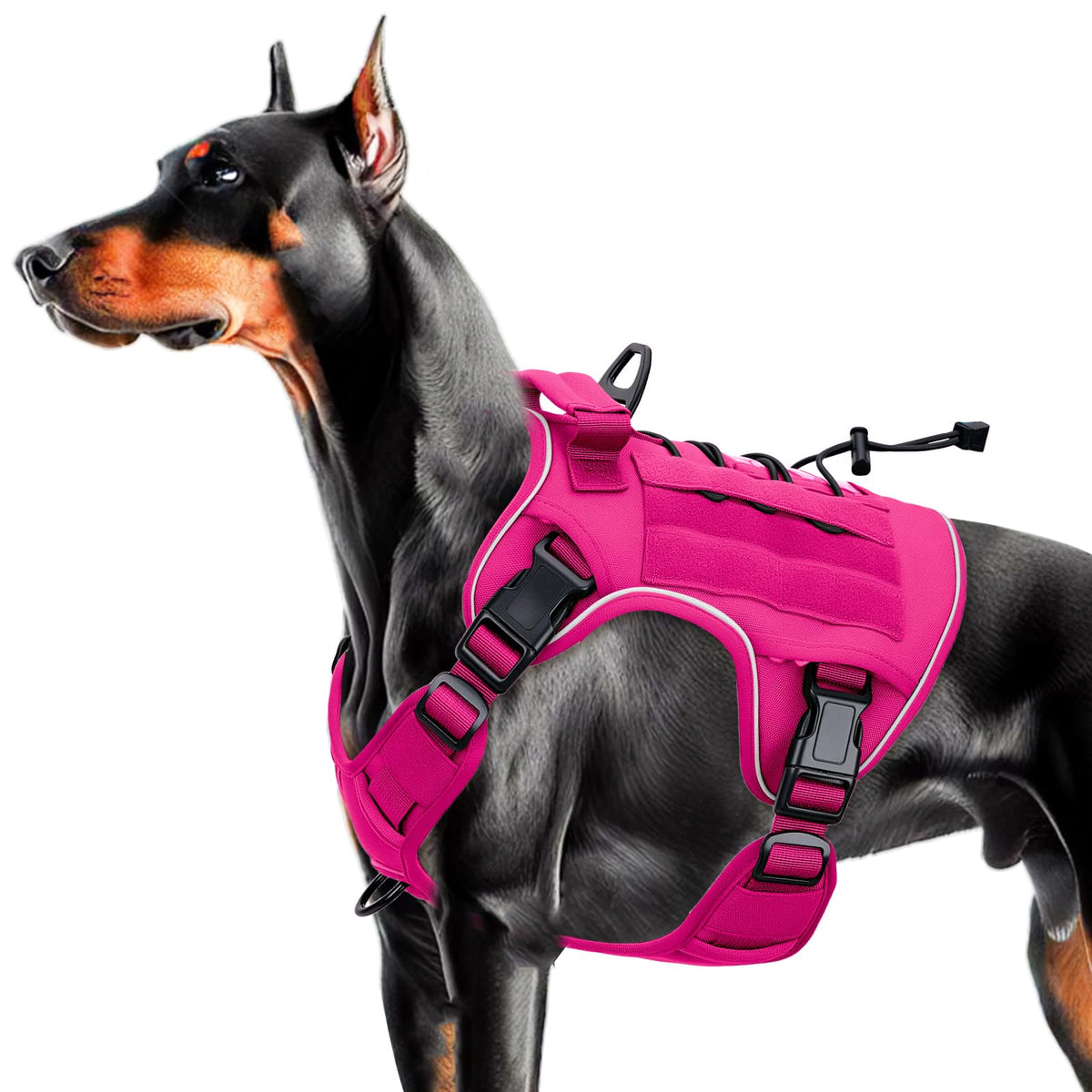 Harnais tactique Bruvoalon rose offrant confort renforcé pour grands chiens lors des promenades.