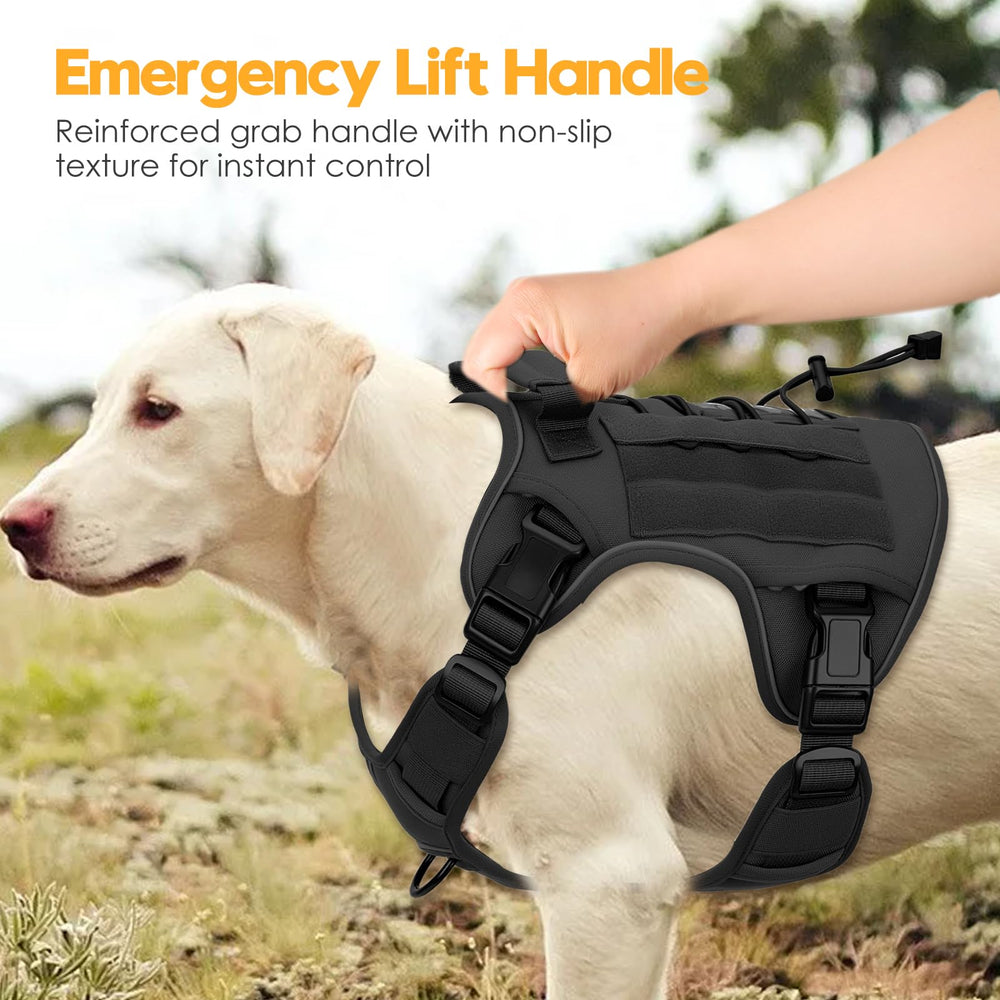 Idéal en extérieur Bruvoalon — parfait pour entraînement, randonnée et travail canin.