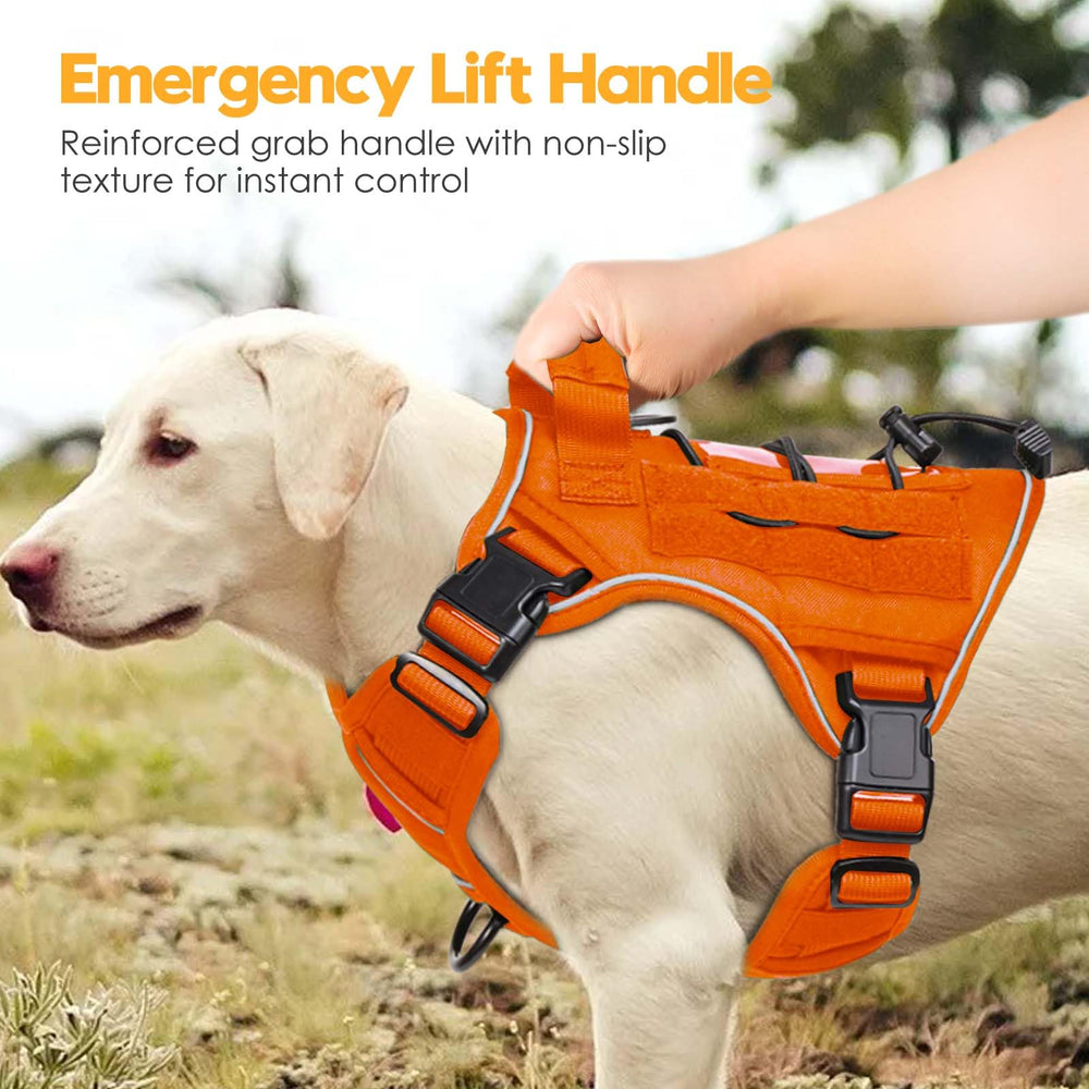 Patch nom gratuit Bruvoalon personnalise l'équipement pour votre chien