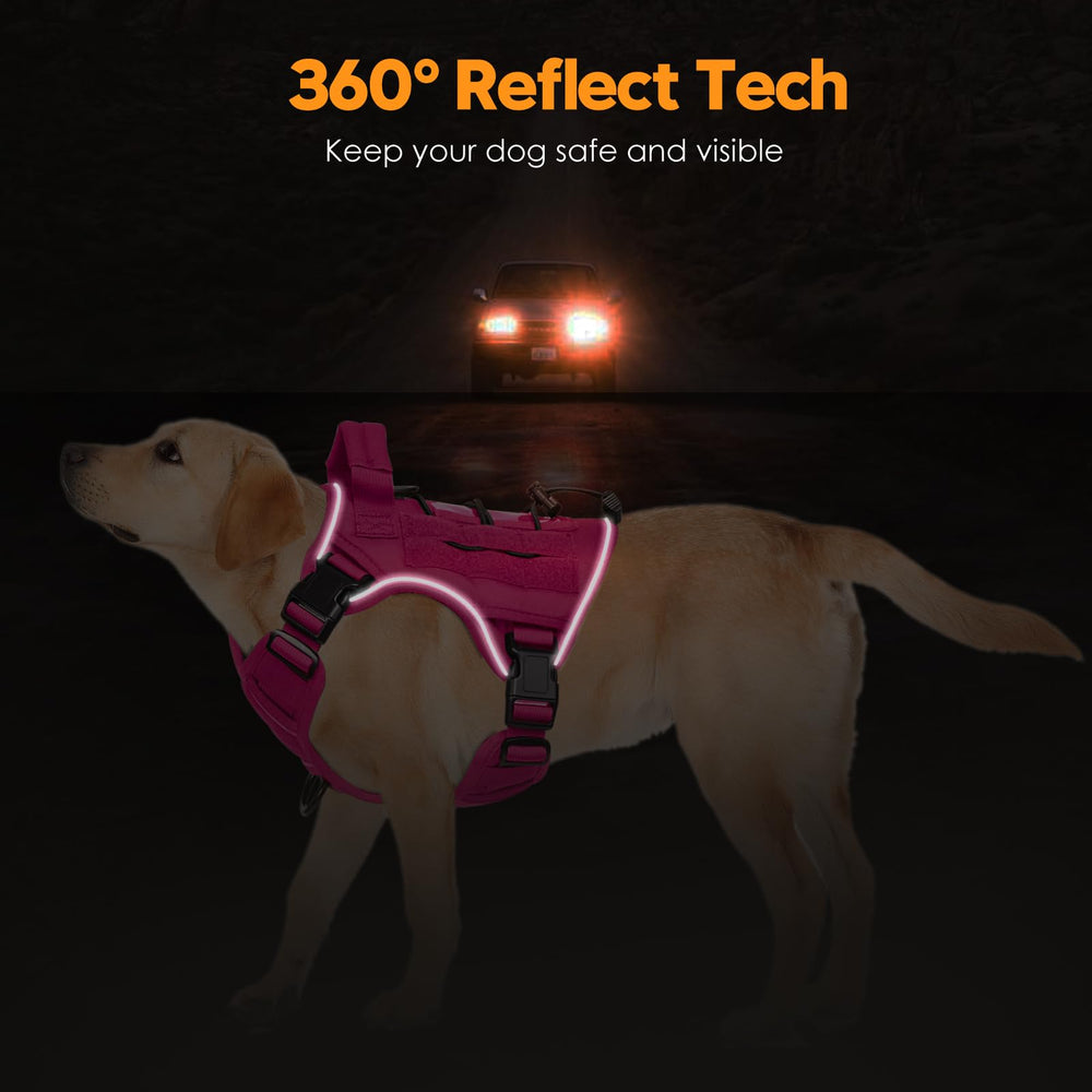 Rembourrage en maillage d’air pour plus de confort du chien Bruvoalon.