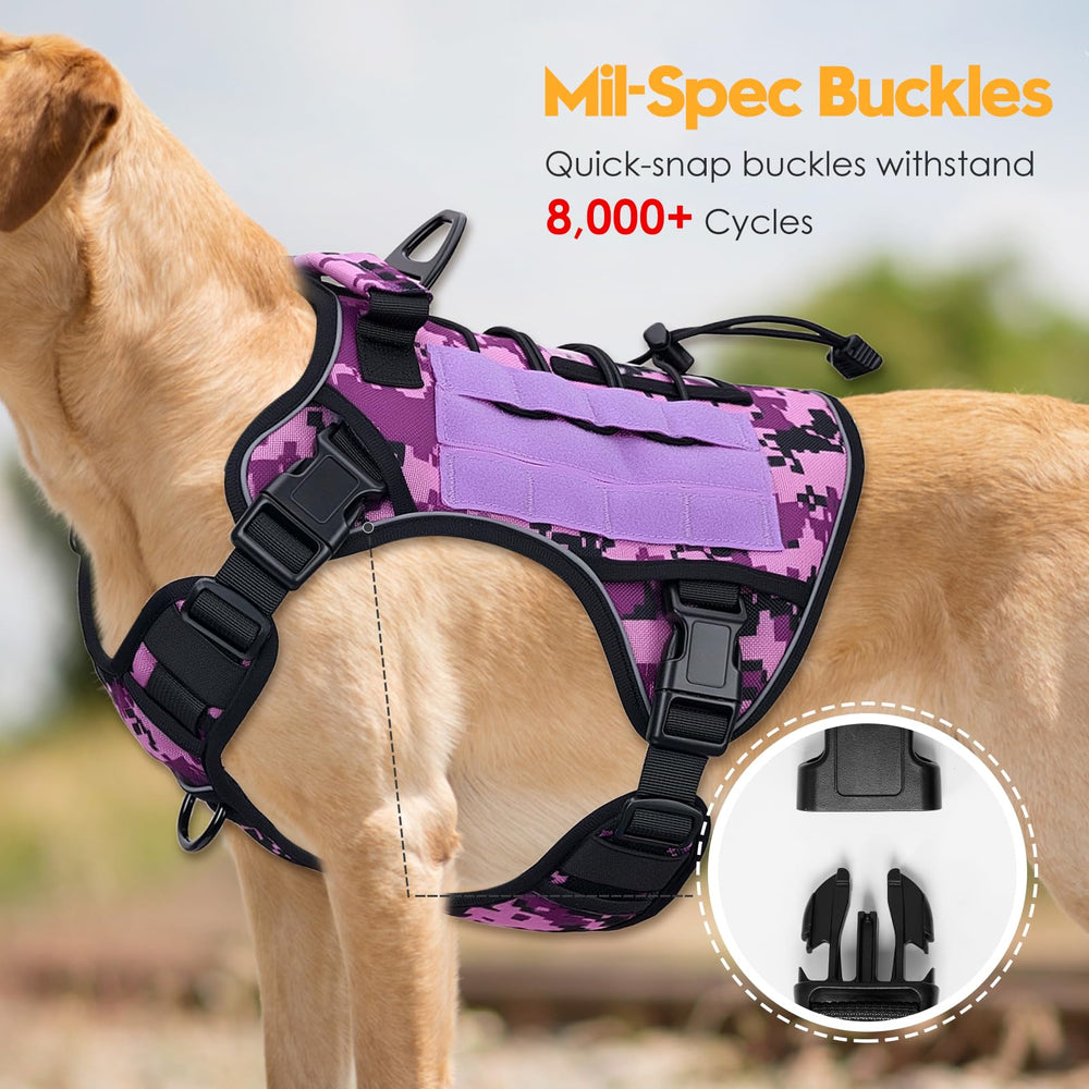 Bruvoalon système MOLLE et patches, personnalisation rapide pour un look pro.