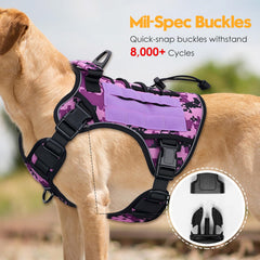 Bruvoalon système MOLLE et patches, personnalisation rapide pour un look pro.
