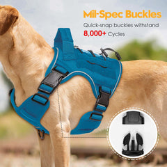 Bruvoalon système MOLLE: porte-outils et patches personnalisés.