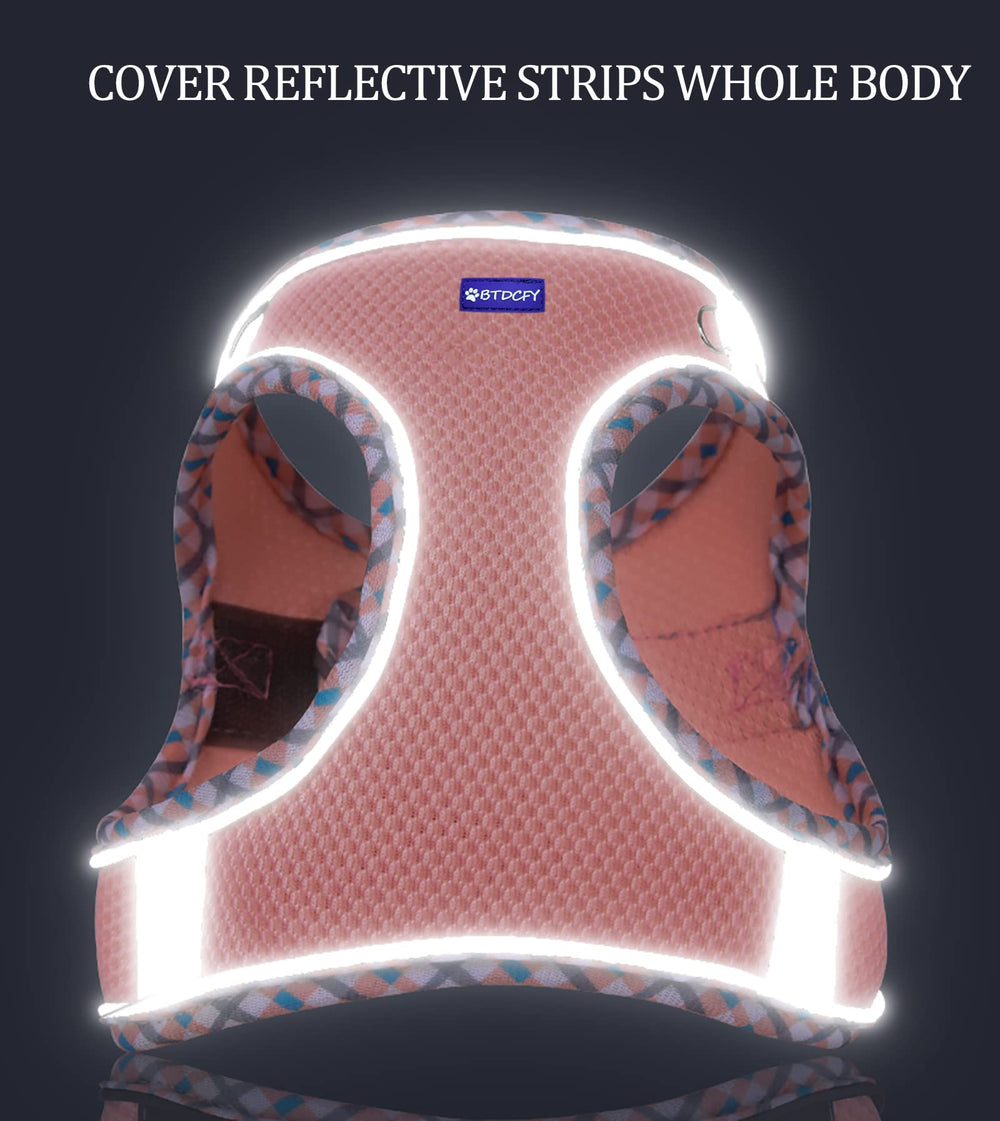 BTDCFY ensemble harnais et laisse vert, solution pratique pour sorties quotidiennes.