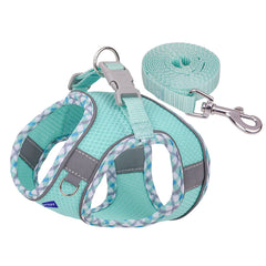 BTDCFY laisse nylon 5 pieds vert pour une marche libre.