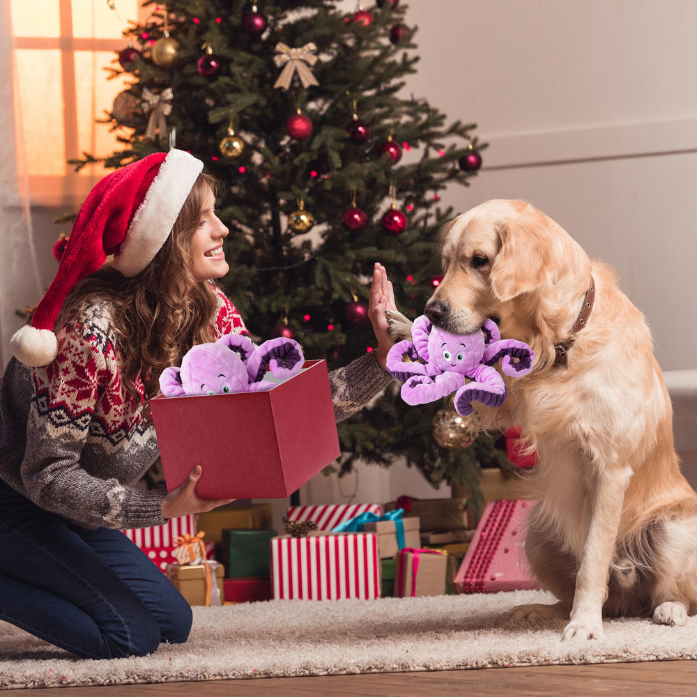 Jouet pour chien grande taille par Bttfere, pendant le jeu interactif