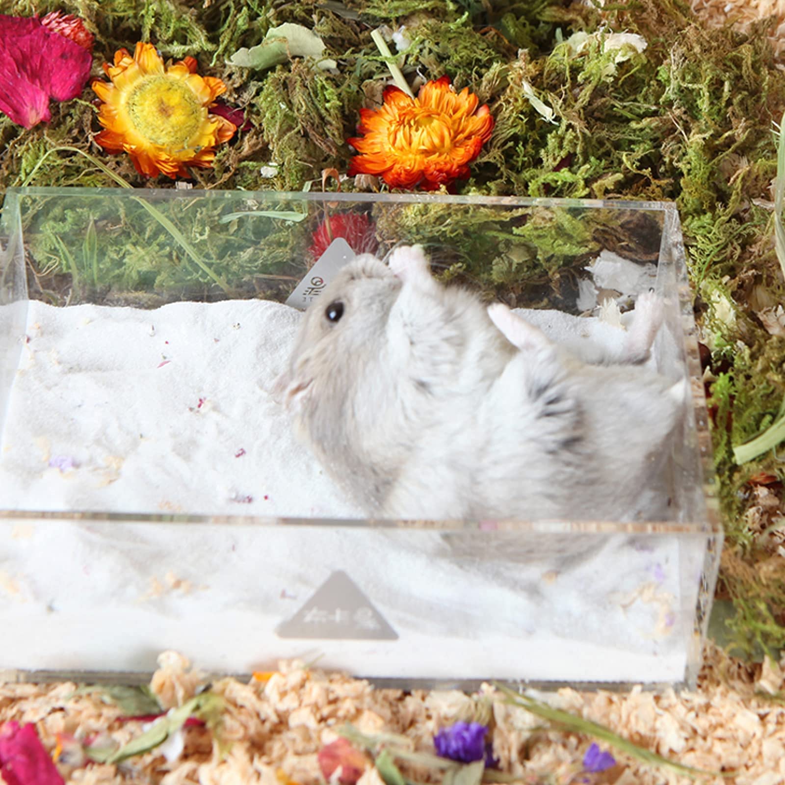 BUCATSTATE sable hypoallergénique et sûr pour petits animaux