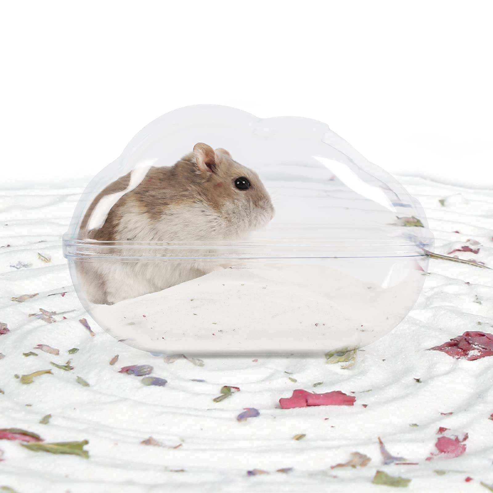 BUCATSTATE sable idéal avec le bac de bain pour hamster