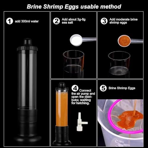 Bubble Magus conditions d eclosion optimales 77-86f pH adapte