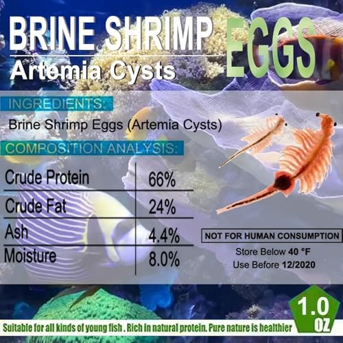 Bubble Magus marque fiable pour aquarium marin et ornamentaux