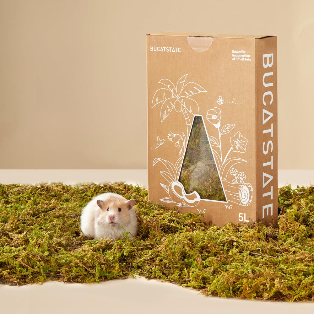 Litière Bucatstate mousse-forêt naturelle 5L, absorbe et apaise le confort des hamsters