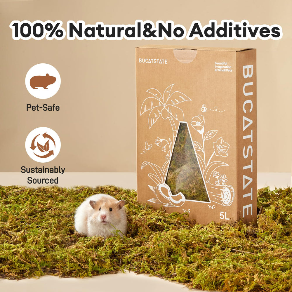 Litière Bucatstate mousse-forêt adaptée aux petits rongeurs et reptiles