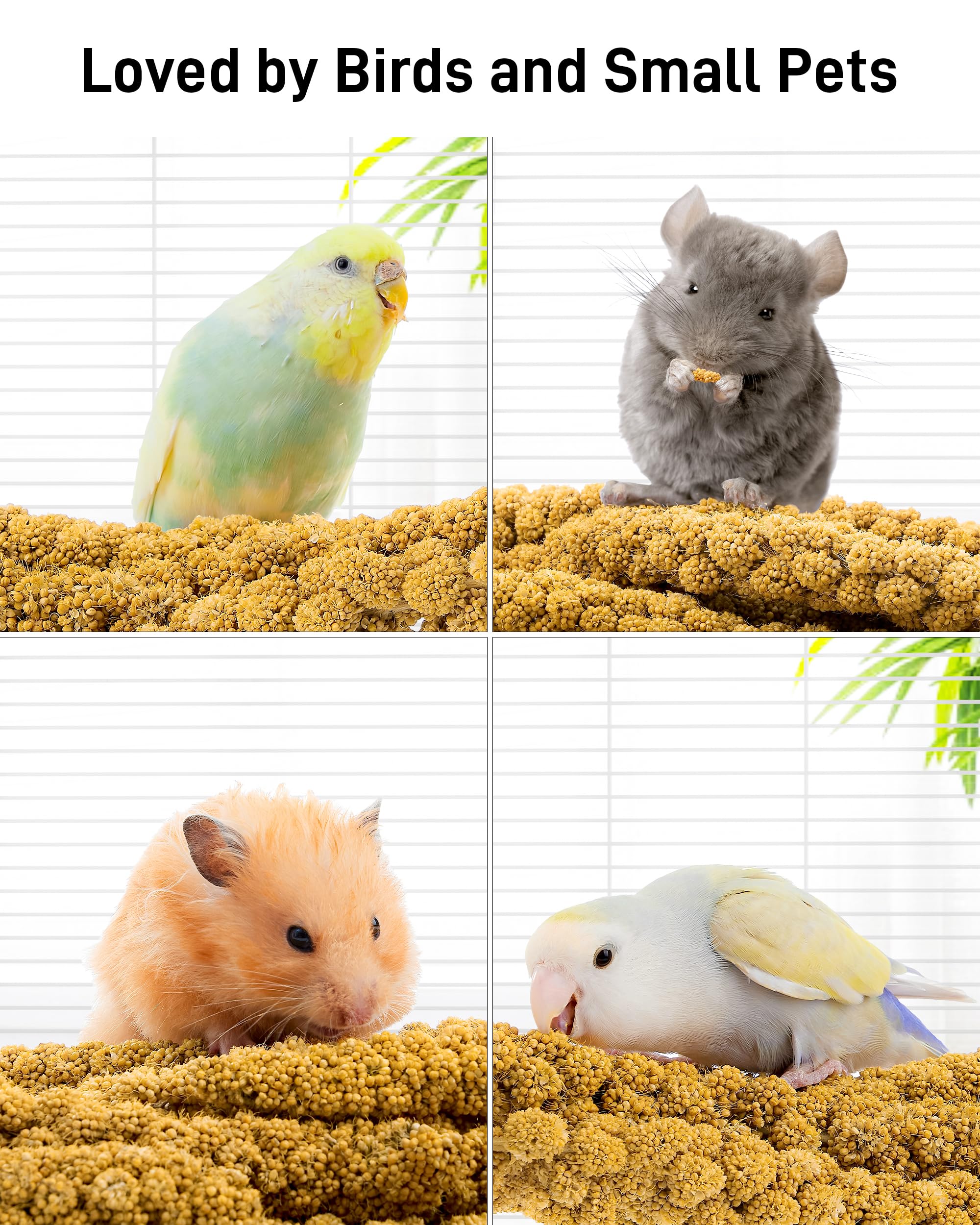 Canari apprécie cette friandise légère et digeste BucatSTATE.