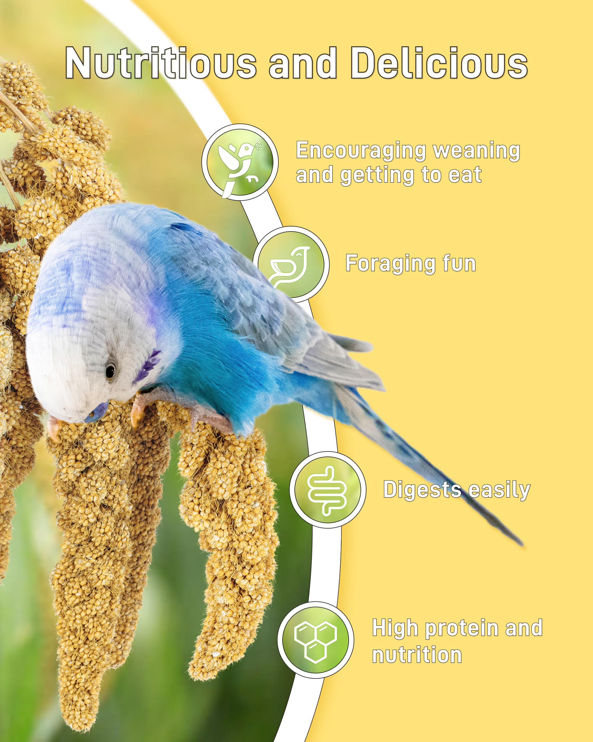 BUCATSTATE millet spray emballage hermetique pour conservation de la fraîcheur.