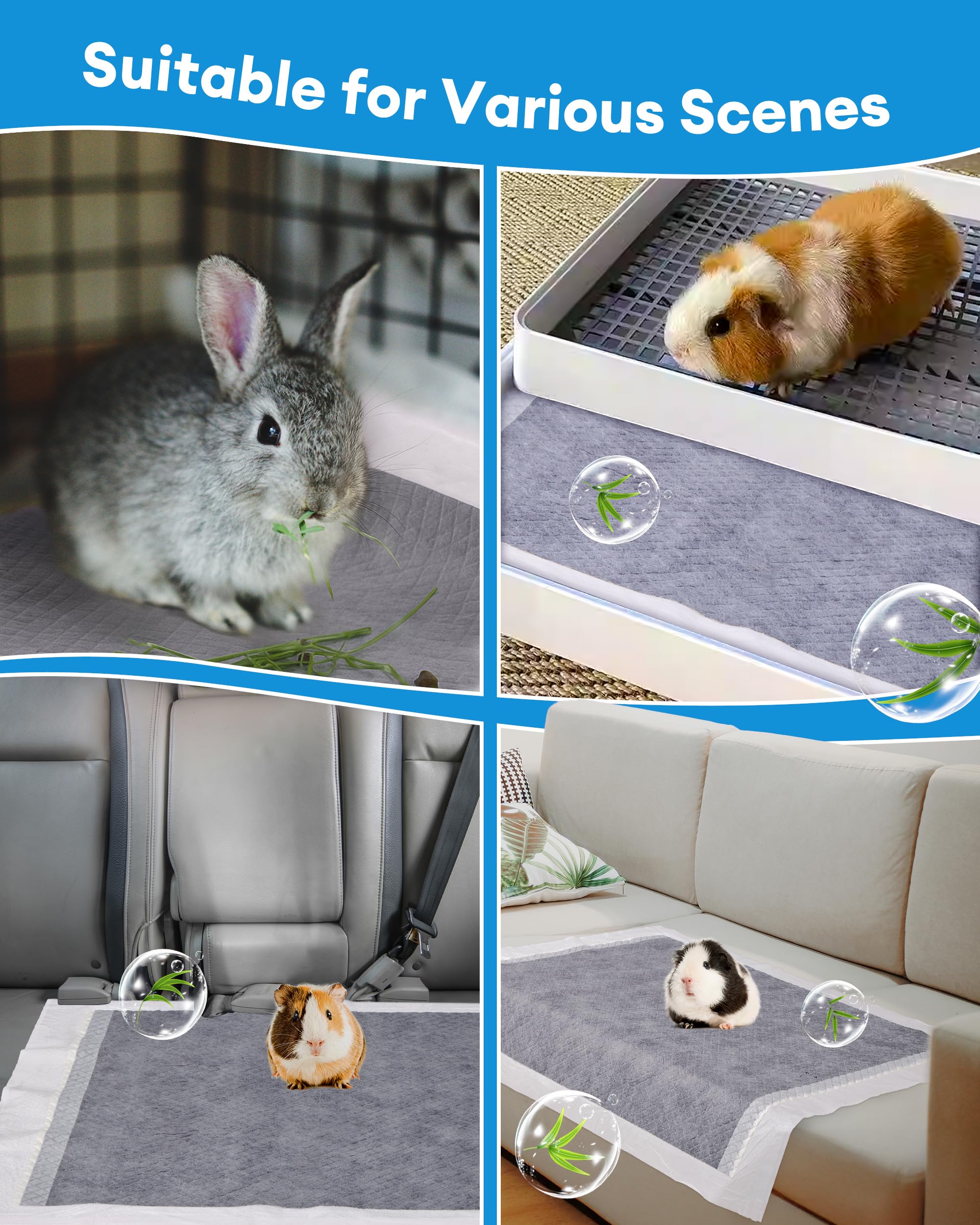 BUCATSTATE usage transport: pratique en cage et pendant les trajets courts.