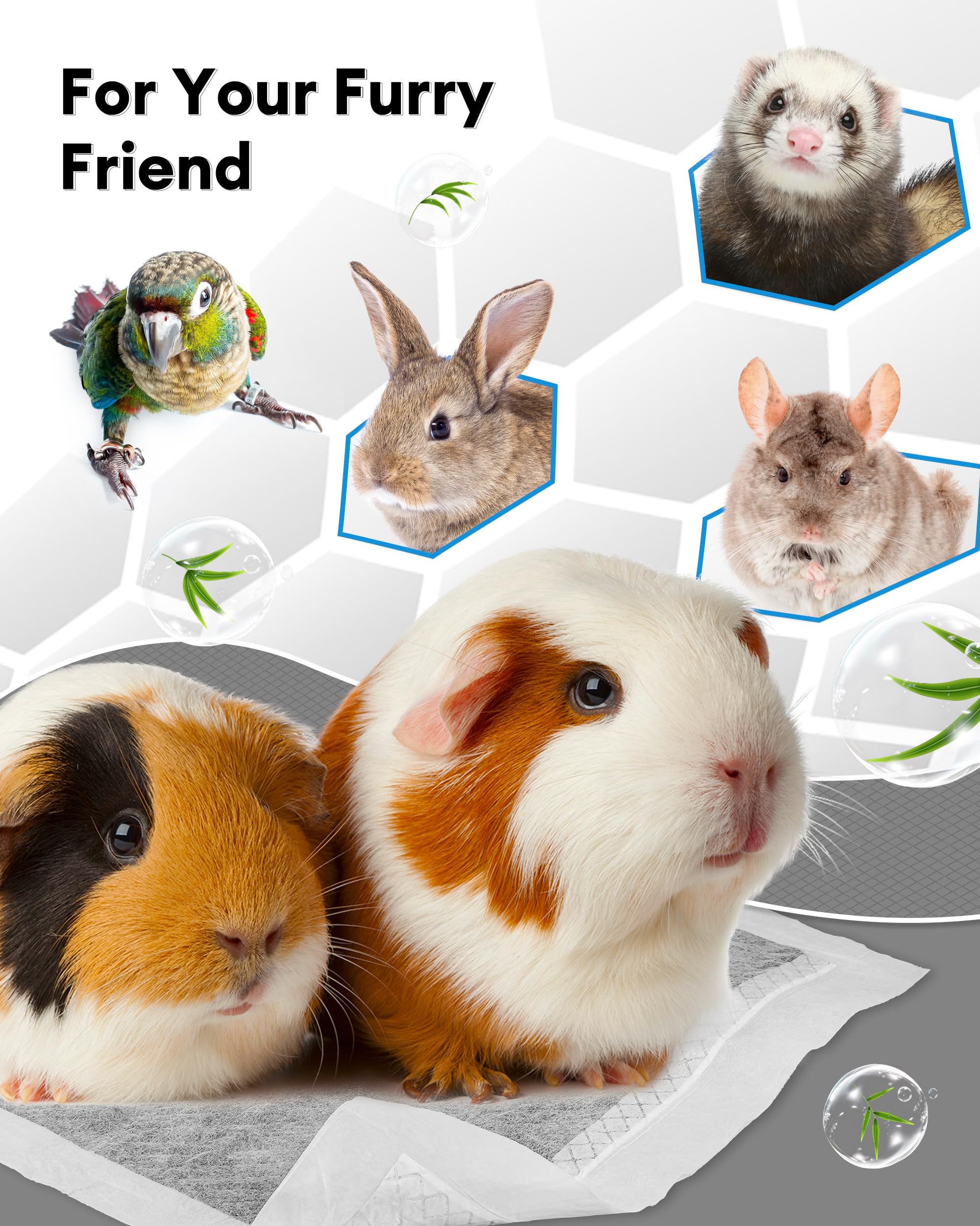 Bucatstate usage voyage: solution propre pour trajets courts avec animaux.