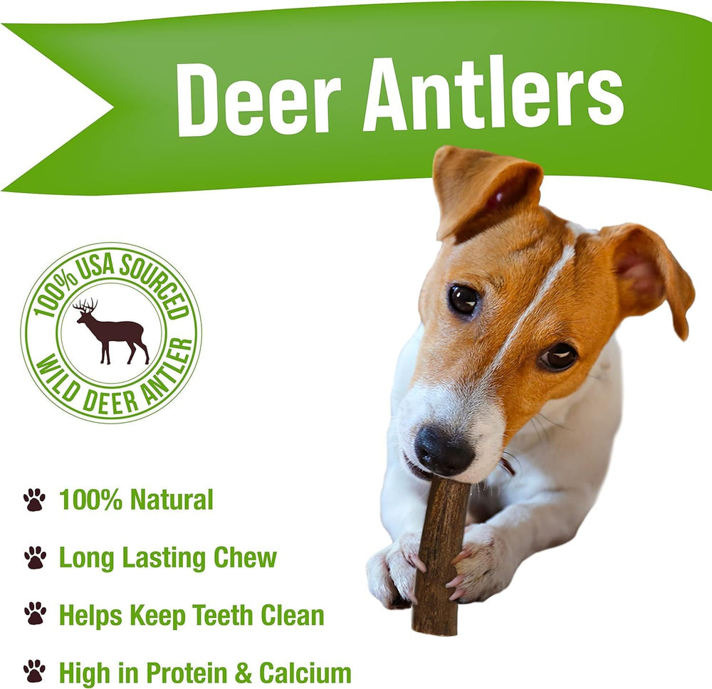 Buck Bone Organics — corne de cerf naturelle, couleur brun naturel, alternative saine pour chiens.