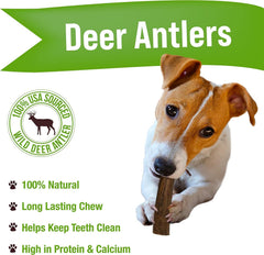 Buck Bone Organics — corne de cerf naturelle, couleur brun naturel, alternative saine pour chiens.