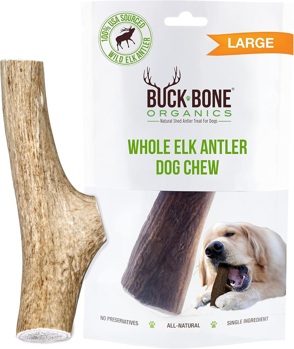 Buck Bone Organics - Corne d'élan 6-8 pouces pour chiens, mâche longue durée et stimulation dentaire.