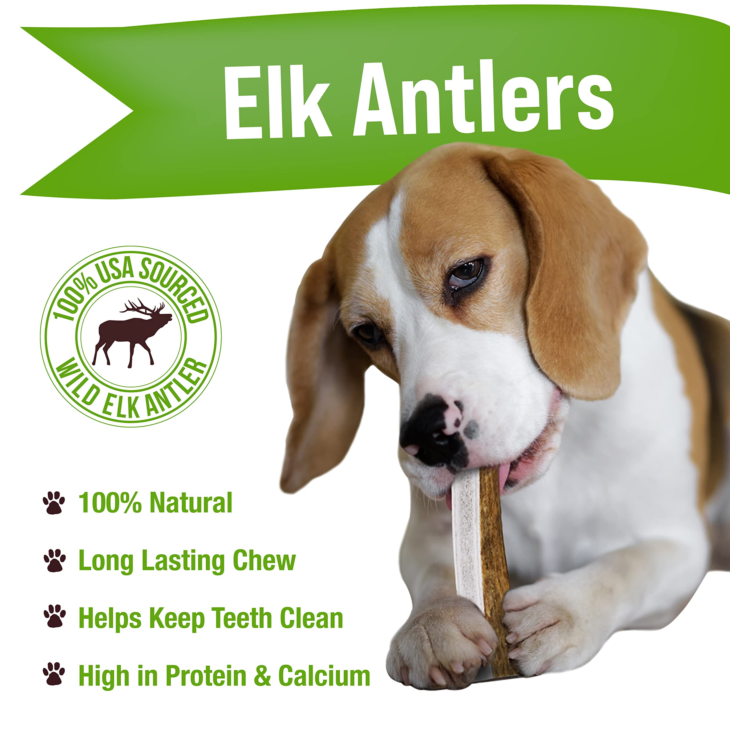 Buck Bone Organics – mordeur pour chien en corne d'élan durable et naturel.