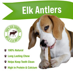 Buck Bone Organics – mordeur pour chien en corne d'élan durable et naturel.