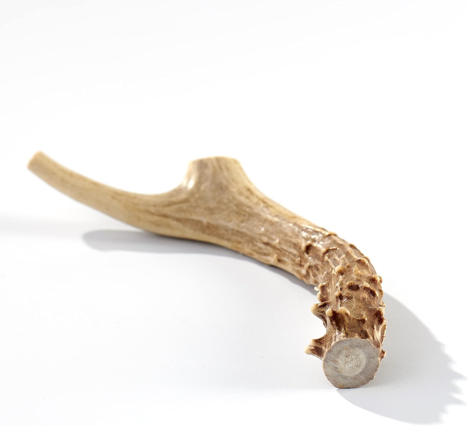 Buck Bone Organics — protéines, calcium et phosphore naturels pour la nutrition canine.