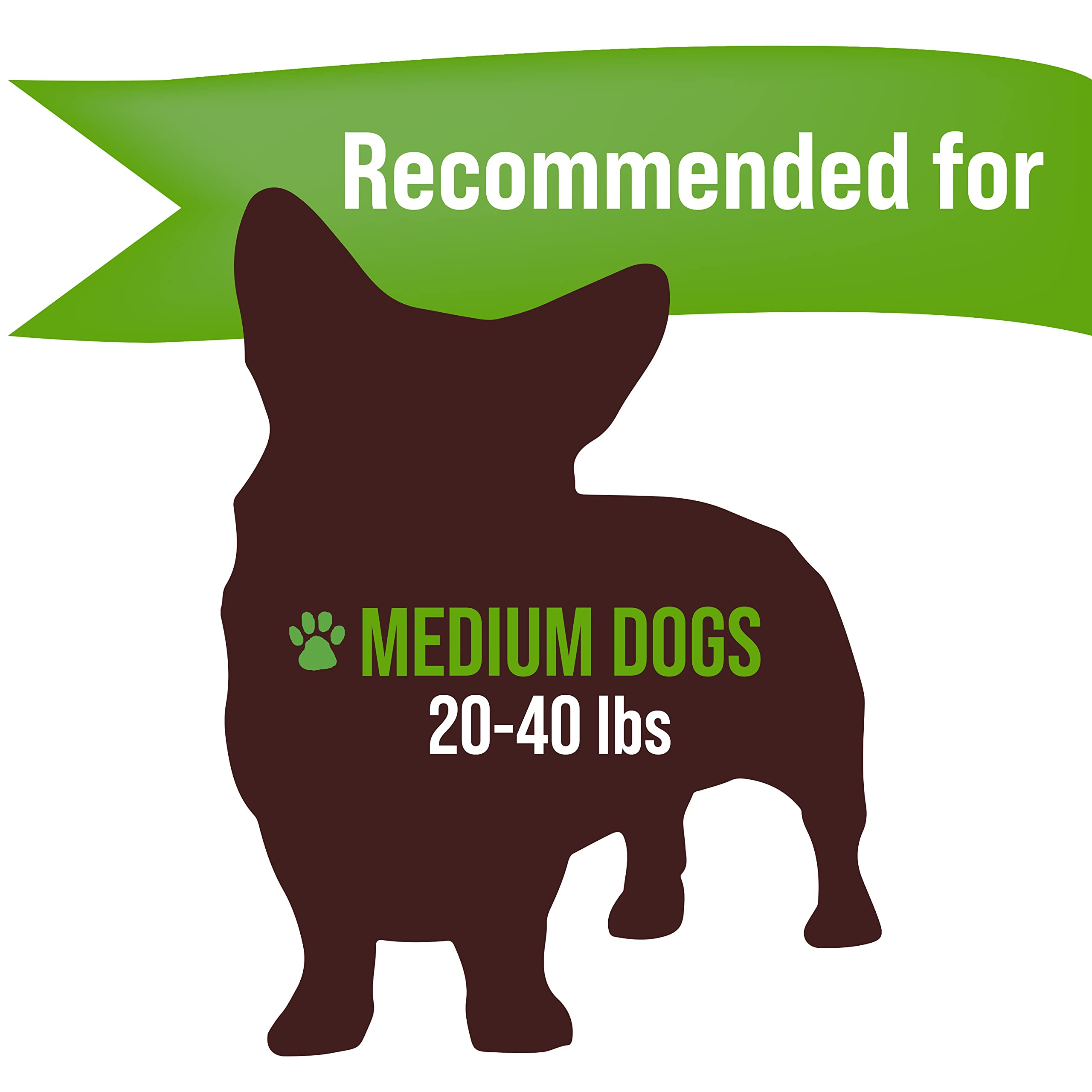 Buck Bone Organics – source États-Unis pour corne d'élan, pratique et traçable.