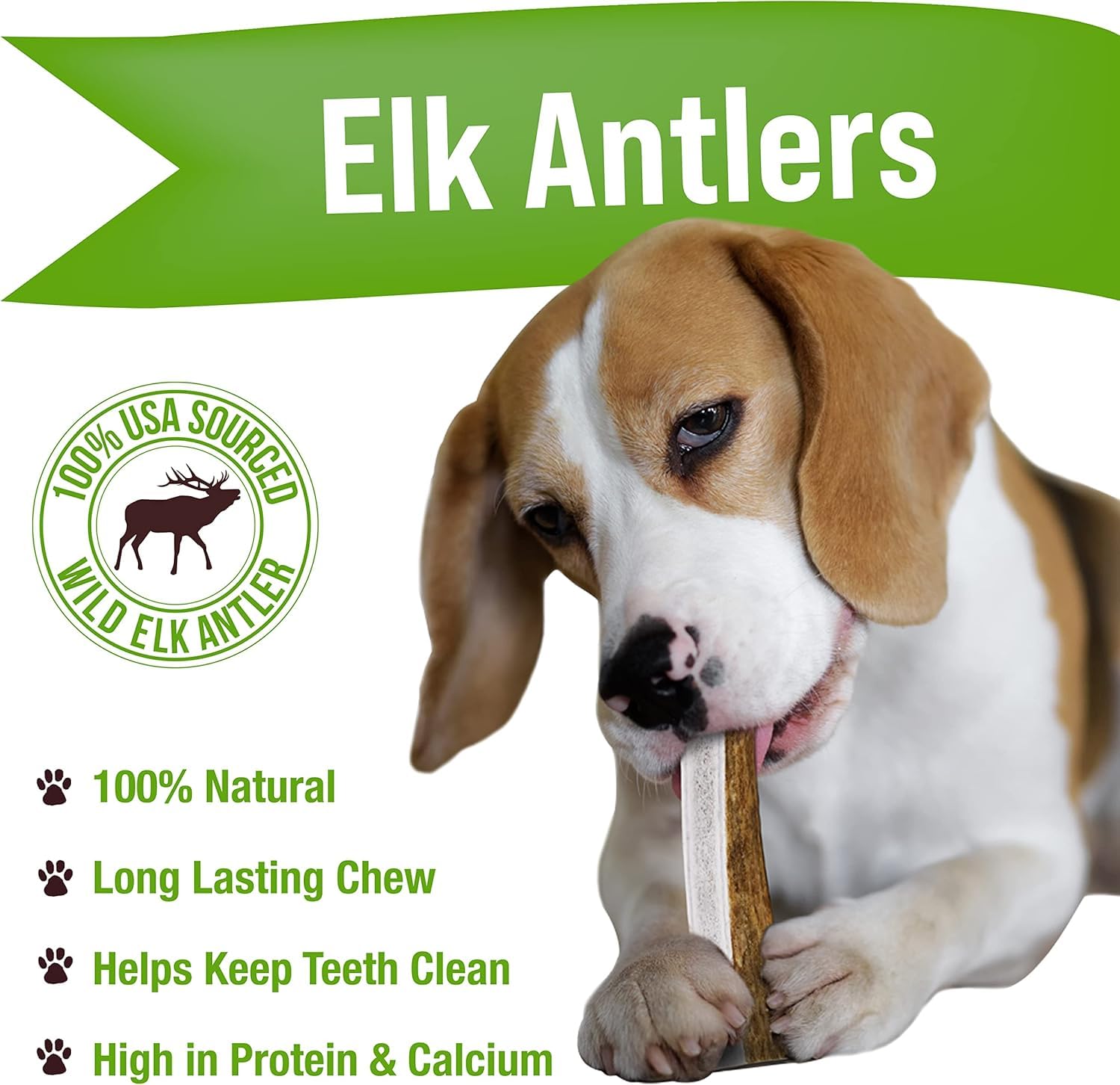 Buck Bone Organics – tranche d’élan pour dentition naturelle chez les chiens