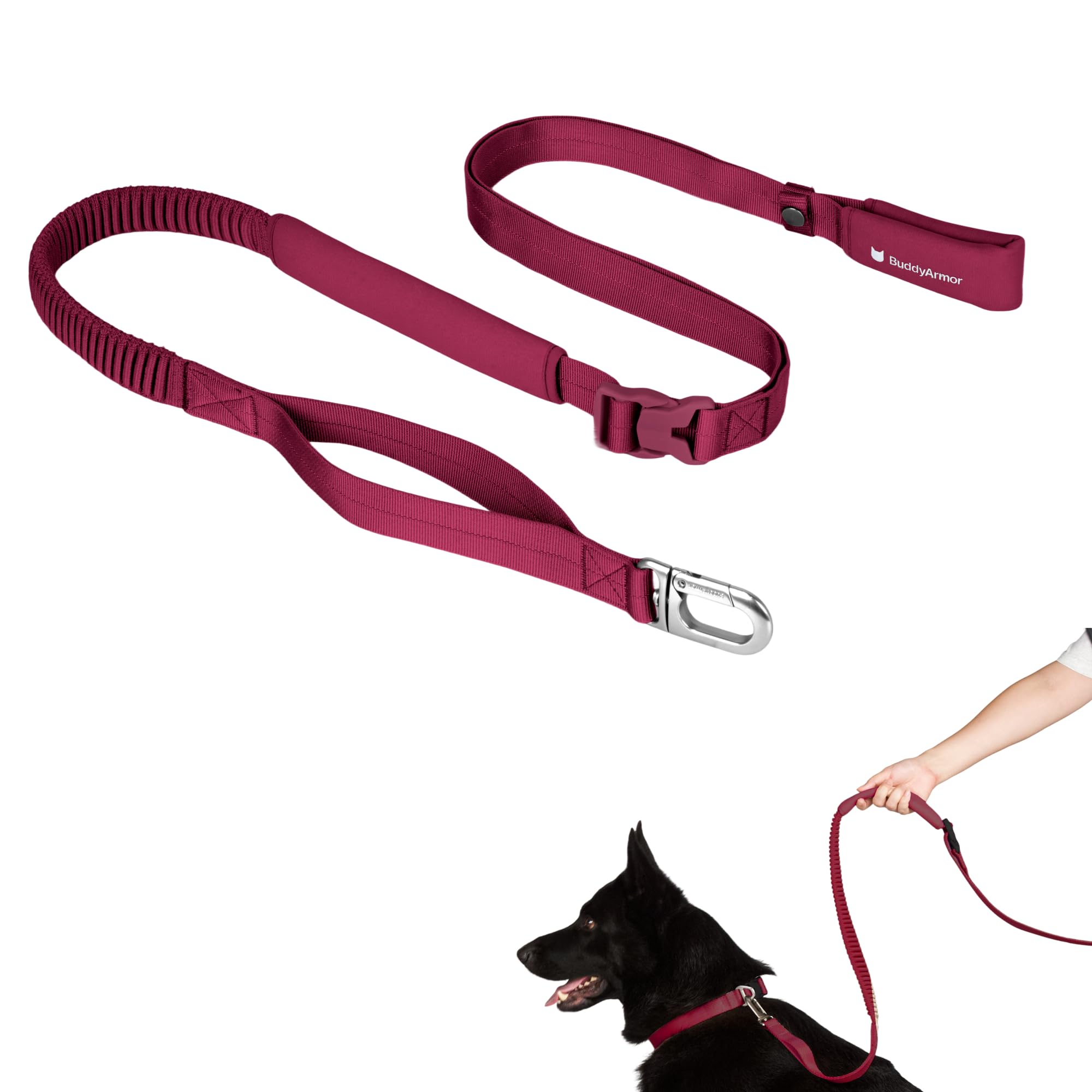 BuddyArmor laisse main libre ajustable en action pour une promenade fluide