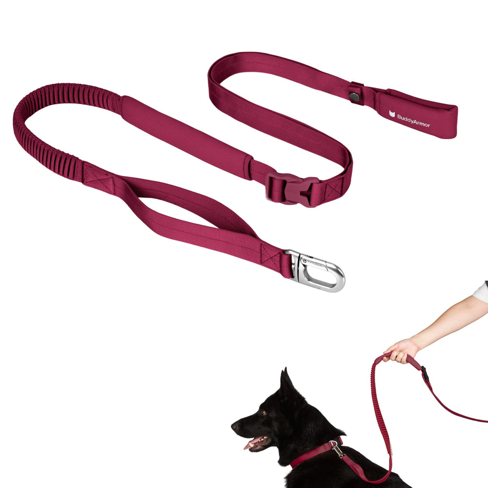 BuddyArmor laisse main libre ajustable en action pour une promenade fluide