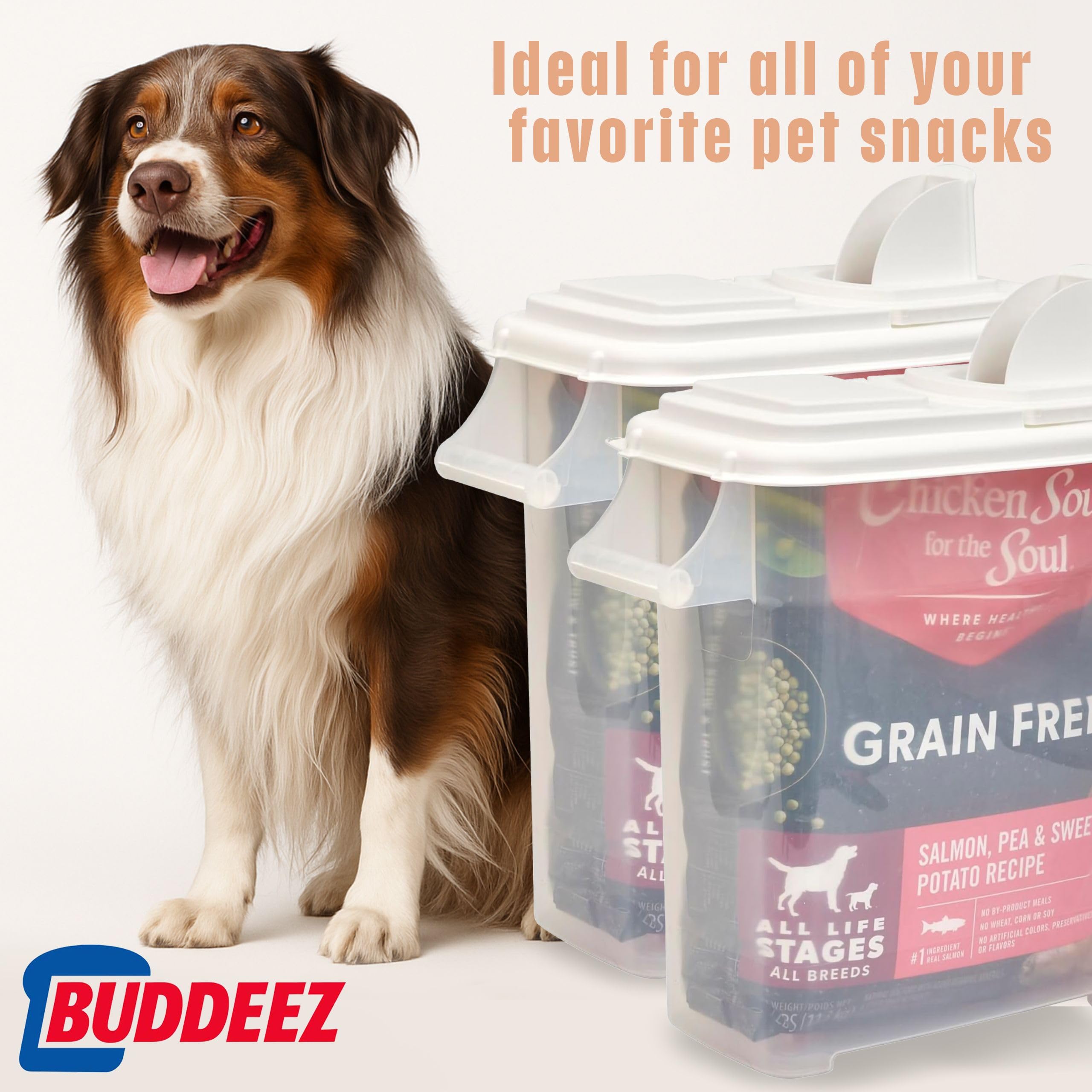 Buddeez: distribution directe de graines d'oiseaux dans le bol, pratique.