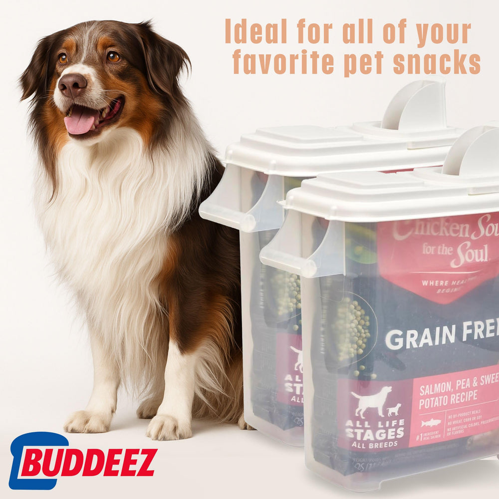 Buddeez: distribution directe de graines d'oiseaux dans le bol, pratique.