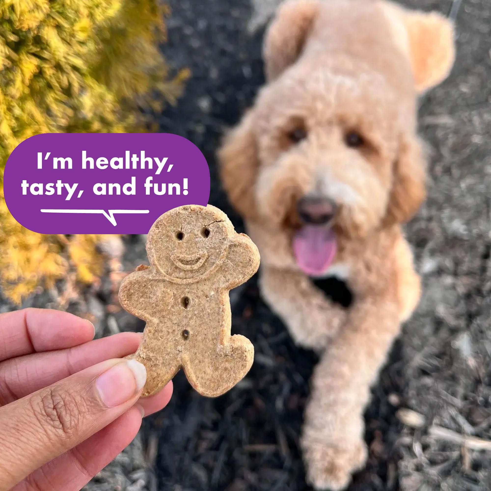 Buddy Biscuits biscuits-cheddar : cheddar savoureux pour une friandise gourmande