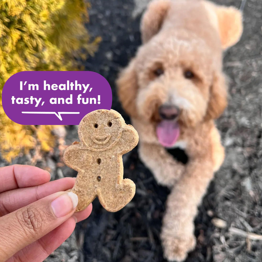 Buddy Biscuits biscuits-cheddar : cheddar savoureux pour une friandise gourmande
