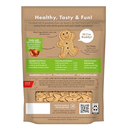 Buddy Biscuits forme gingerkid biscuits croustillants et amusants