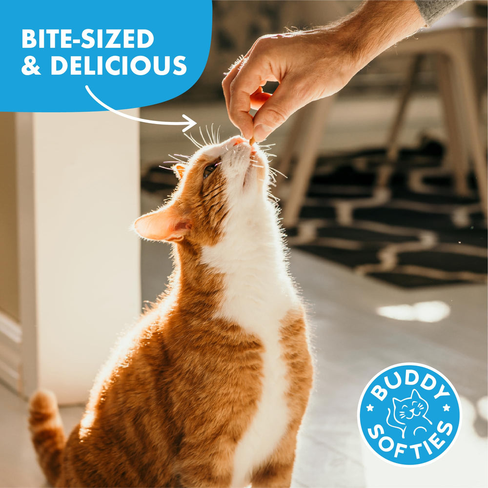 Buddy Biscuits Chat : ingrédients simples et qualité.
